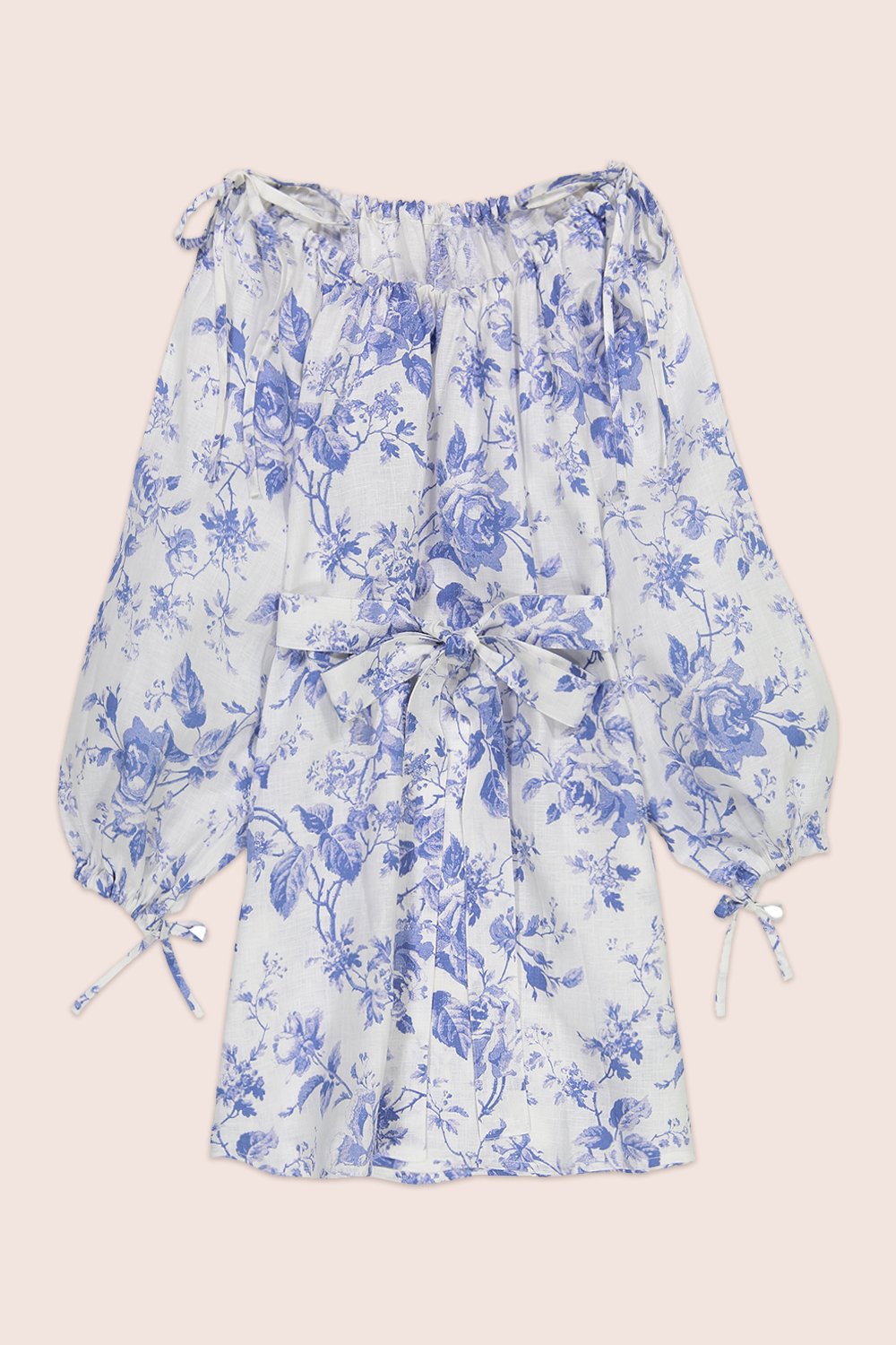 French Rose Mini Dress in White with Blue